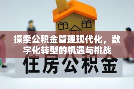 兰州探索公积金管理现代化，数字化转型的机遇与挑战
