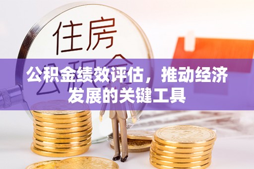 林甸公积金绩效评估，推动经济发展的关键工具