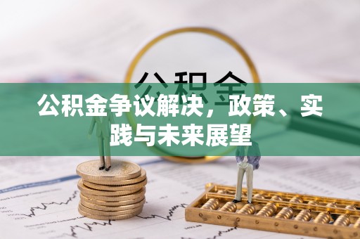 友好公积金争议解决，政策、实践与未来展望