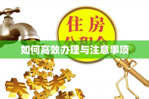 高州如何高效办理与注意事项