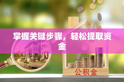 山东掌握关键步骤，轻松提取资金