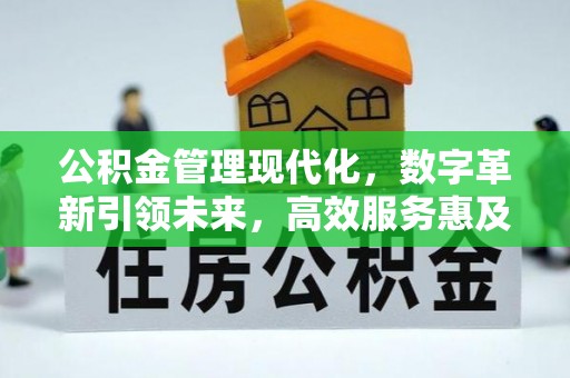 东乡公积金管理现代化，数字革新引领未来，高效服务惠及民生