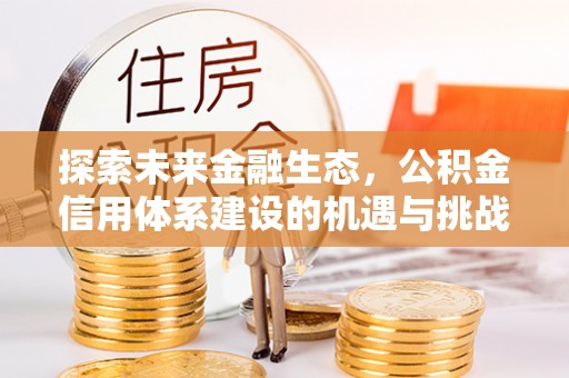 临泉探索未来金融生态，公积金信用体系建设的机遇与挑战