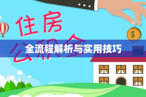 临泉全流程解析与实用技巧