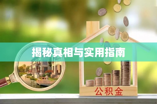 端州揭秘真相与实用指南