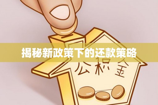 罗田揭秘新政策下的还款策略