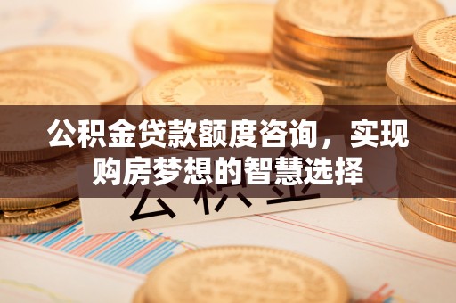 三角公积金贷款额度咨询，实现购房梦想的智慧选择