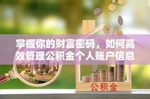 浮梁掌握你的财富密码，如何高效管理公积金个人账户信息