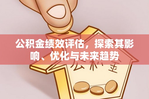 南丰公积金绩效评估，探索其影响、优化与未来趋势