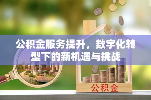 临潭公积金服务提升，数字化转型下的新机遇与挑战