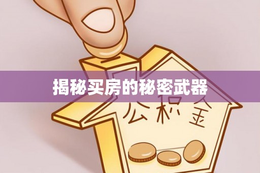 灵山揭秘买房的秘密武器