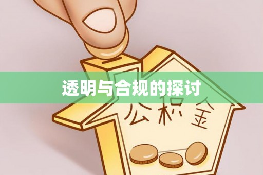 丹寨透明与合规的探讨