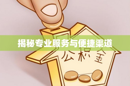 安岳揭秘专业服务与便捷渠道