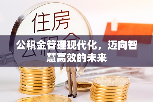 麦盖提公积金管理现代化，迈向智慧高效的未来