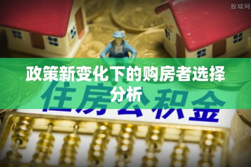 泽普政策新变化下的购房者选择分析