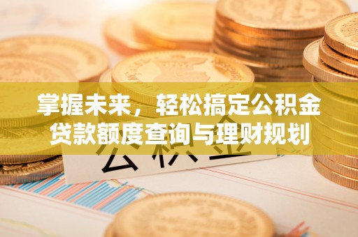 贺州掌握未来，轻松搞定公积金贷款额度查询与理财规划