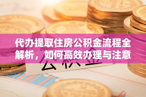 莘县代办提取住房公积金流程全解析，如何高效办理与注意事项