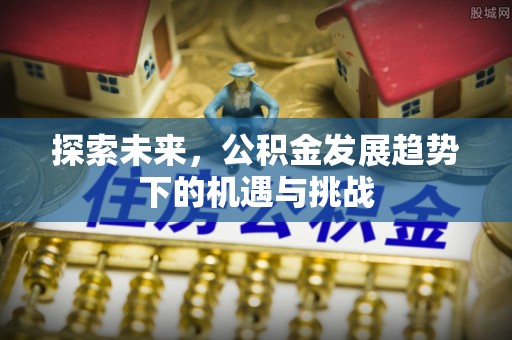 剑川探索未来，公积金发展趋势下的机遇与挑战