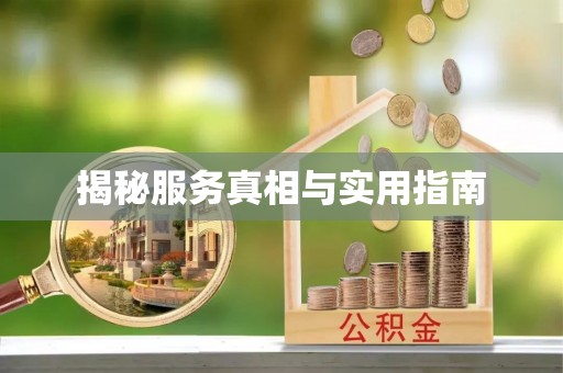 友谊揭秘服务真相与实用指南