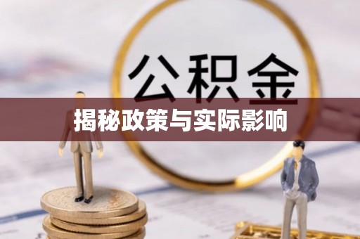 船山揭秘政策与实际影响