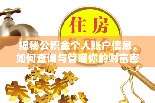 临潭揭秘公积金个人账户信息，如何查询与管理你的财富密码