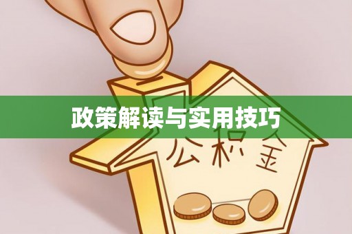 苏尼特右旗政策解读与实用技巧