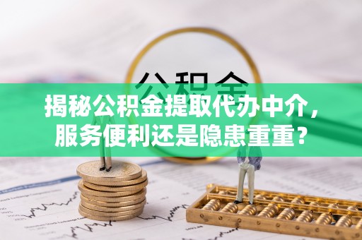 芦淞揭秘公积金提取代办中介，服务便利还是隐患重重？