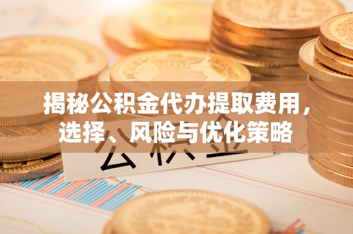 雷山揭秘公积金代办提取费用，选择、风险与优化策略