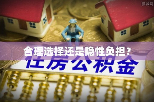 梁园合理选择还是隐性负担？