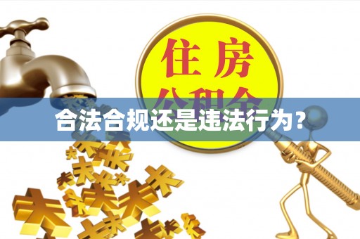 丰城合法合规还是违法行为？