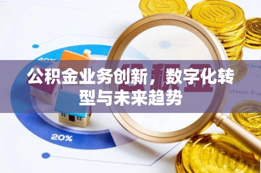 承德公积金业务创新，数字化转型与未来趋势