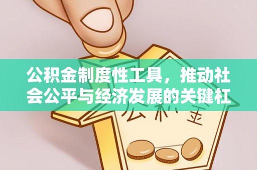 伊吾公积金制度性工具，推动社会公平与经济发展的关键杠杆