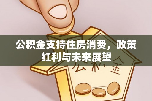 海端公积金支持住房消费，政策红利与未来展望