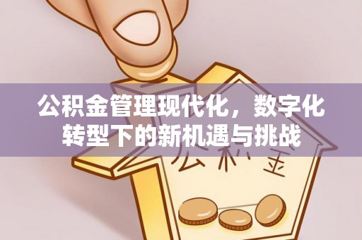 曲水公积金管理现代化，数字化转型下的新机遇与挑战