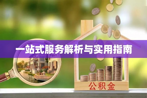 七星一站式服务解析与实用指南
