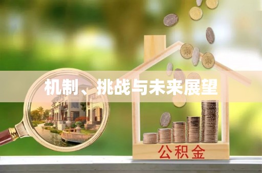 沅江机制、挑战与未来展望