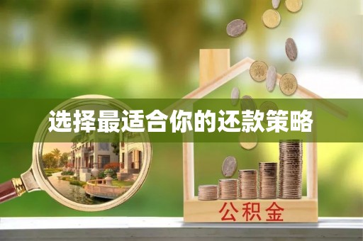 鄂托克旗选择最适合你的还款策略