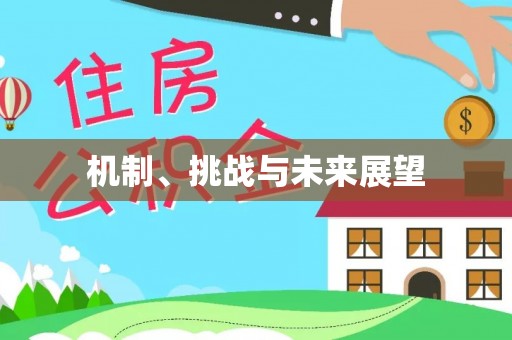 云浮机制、挑战与未来展望
